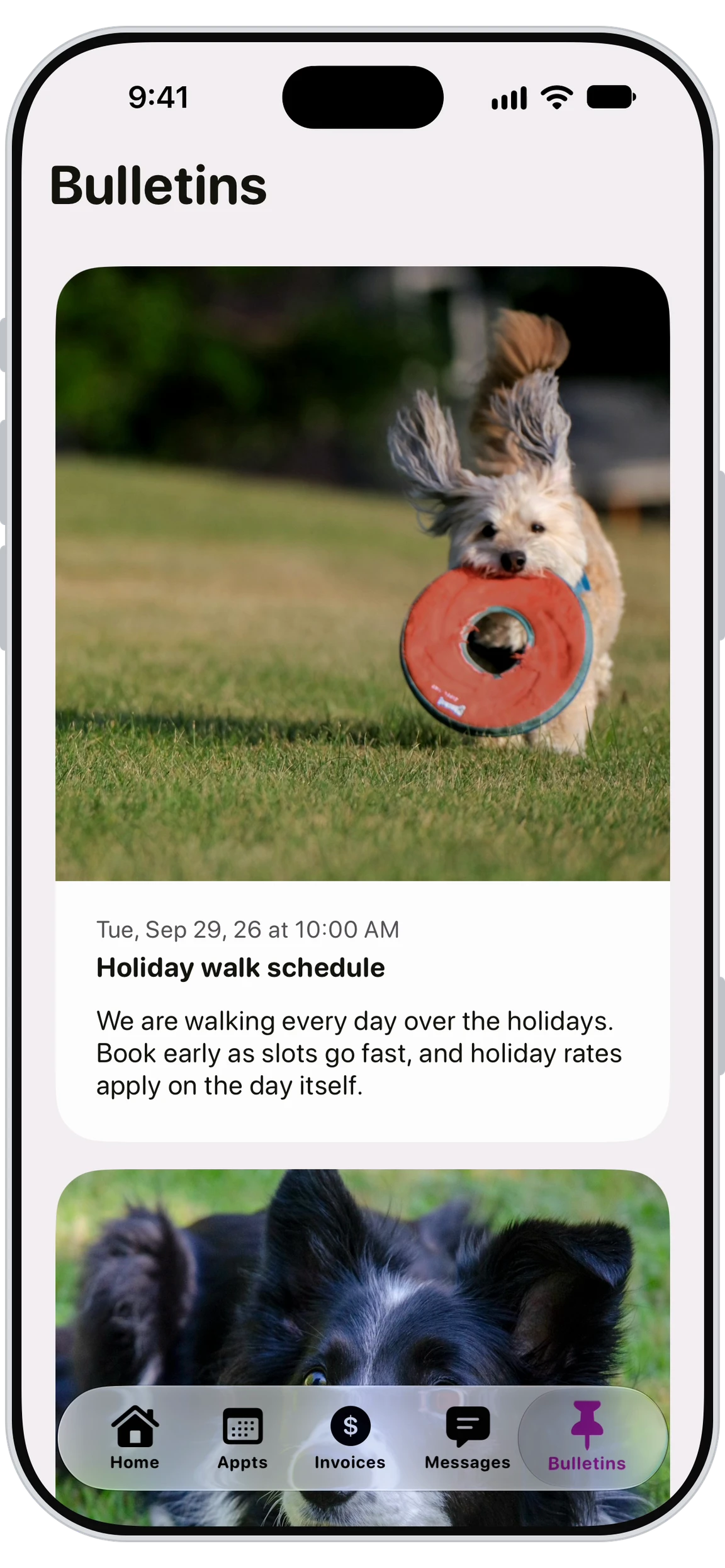 Application Walkies Journal affichant les annonces d’un pet-sitter