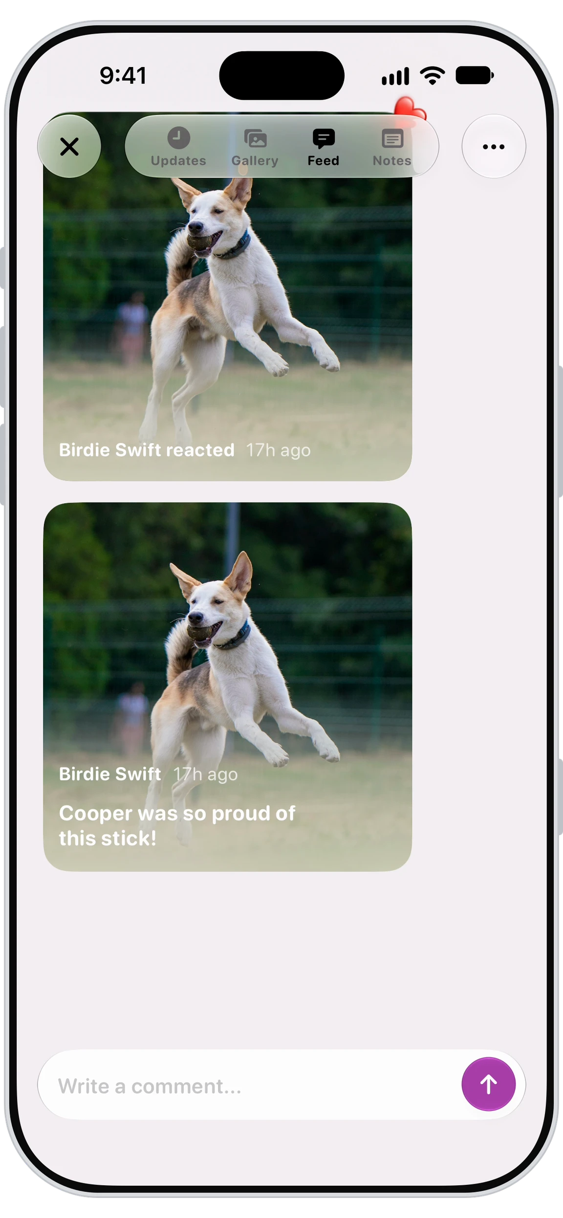 Application Walkies Journal affichant le fil d’activité avec les nouvelles du pet-sitter
