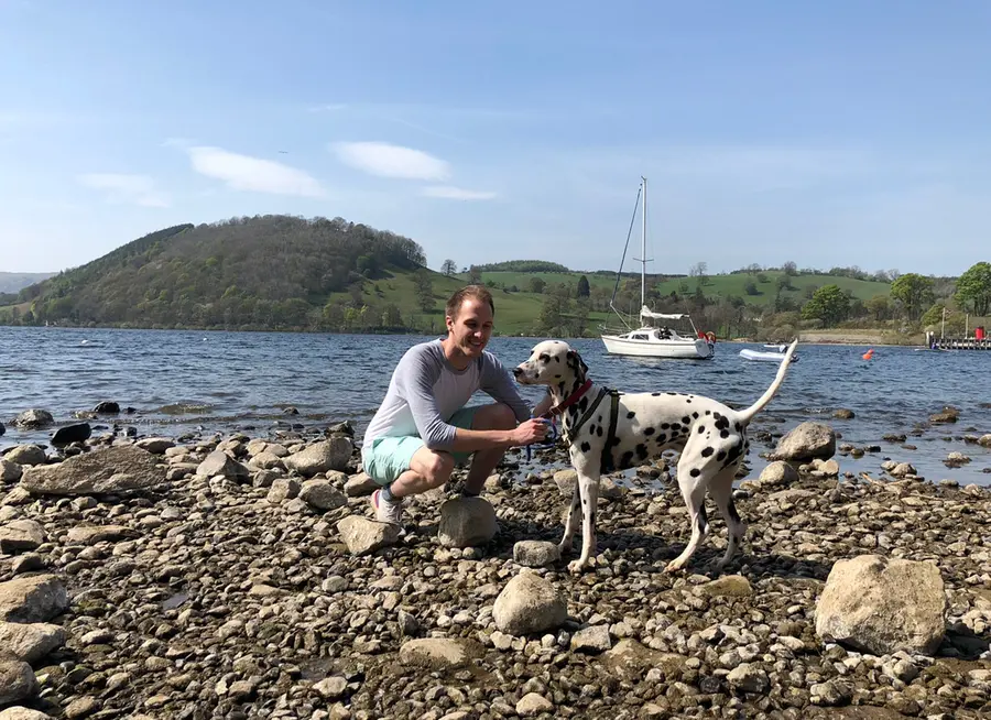 Un chien avec son humain. Walkies accompagne tous les types d’animaux