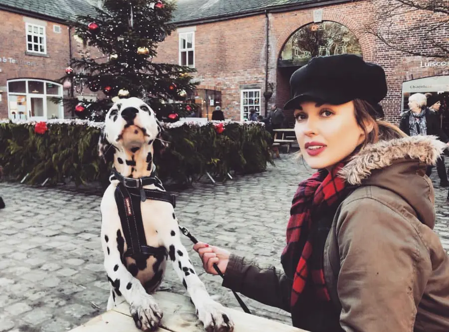 L’équipe Walkies à l’écoute des retours des promeneurs de chiens et des pet-sitters
