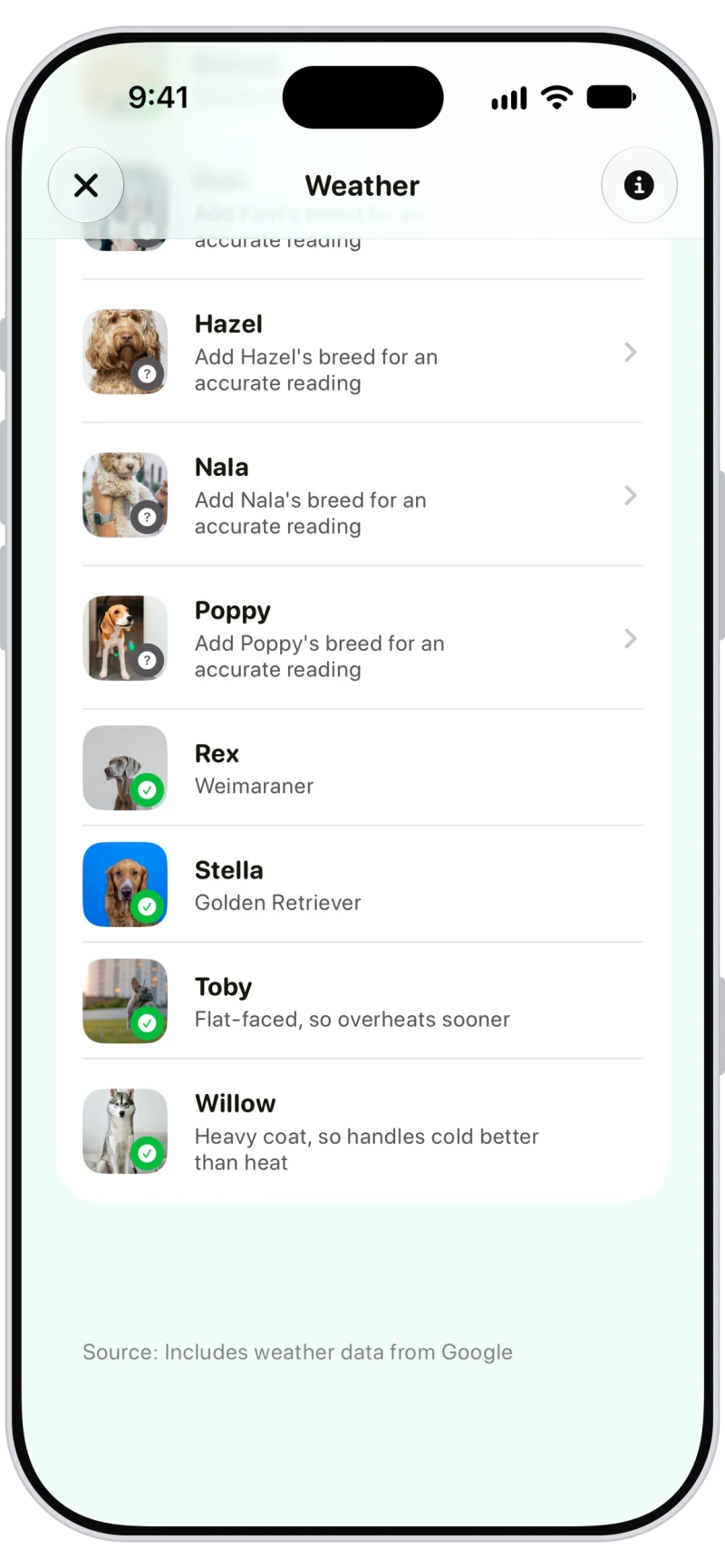 Walkies Weather list of pets booked today, each with its own reading, such as flat-faced so overheats sooner